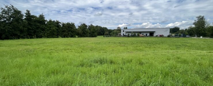 Eilinger Kamp / Bieberblick